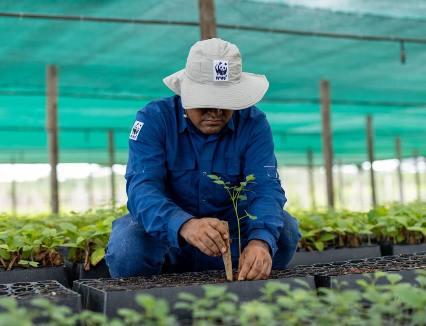 Madre de Dios implementan primer vivero