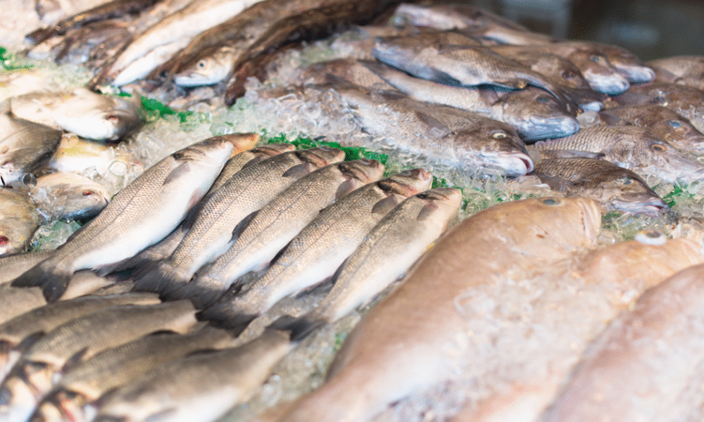 SALMON EMPRESAS