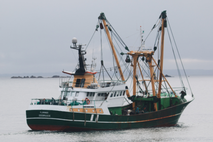 SALMON EMPRESAS 6