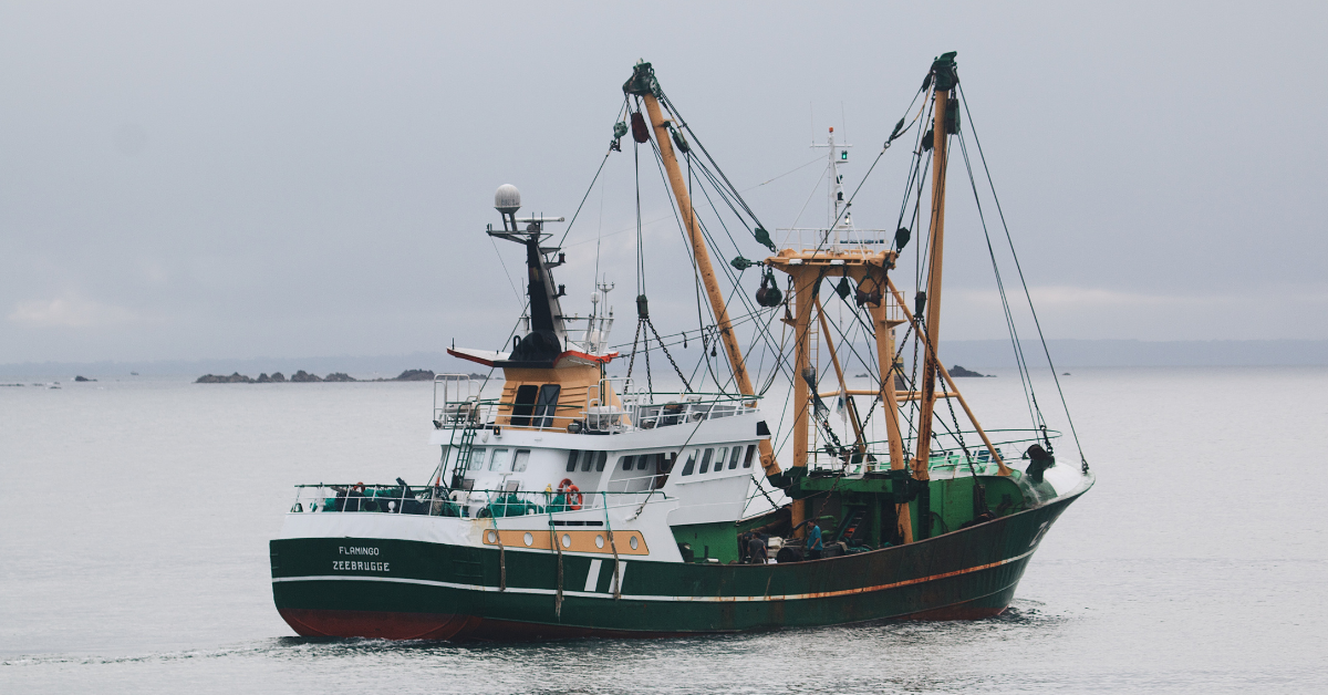 SALMON EMPRESAS 6
