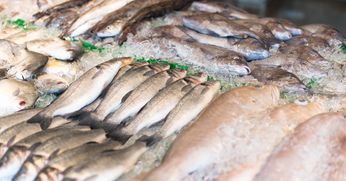 SALMON EMPRESAS