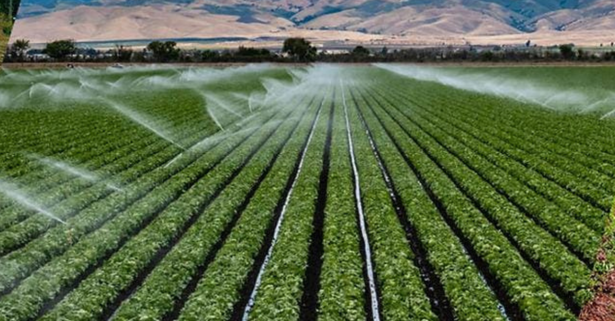 agro peruano