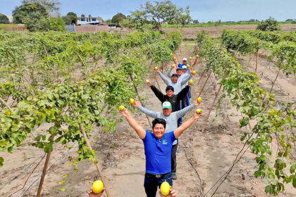 agromercado inversiones