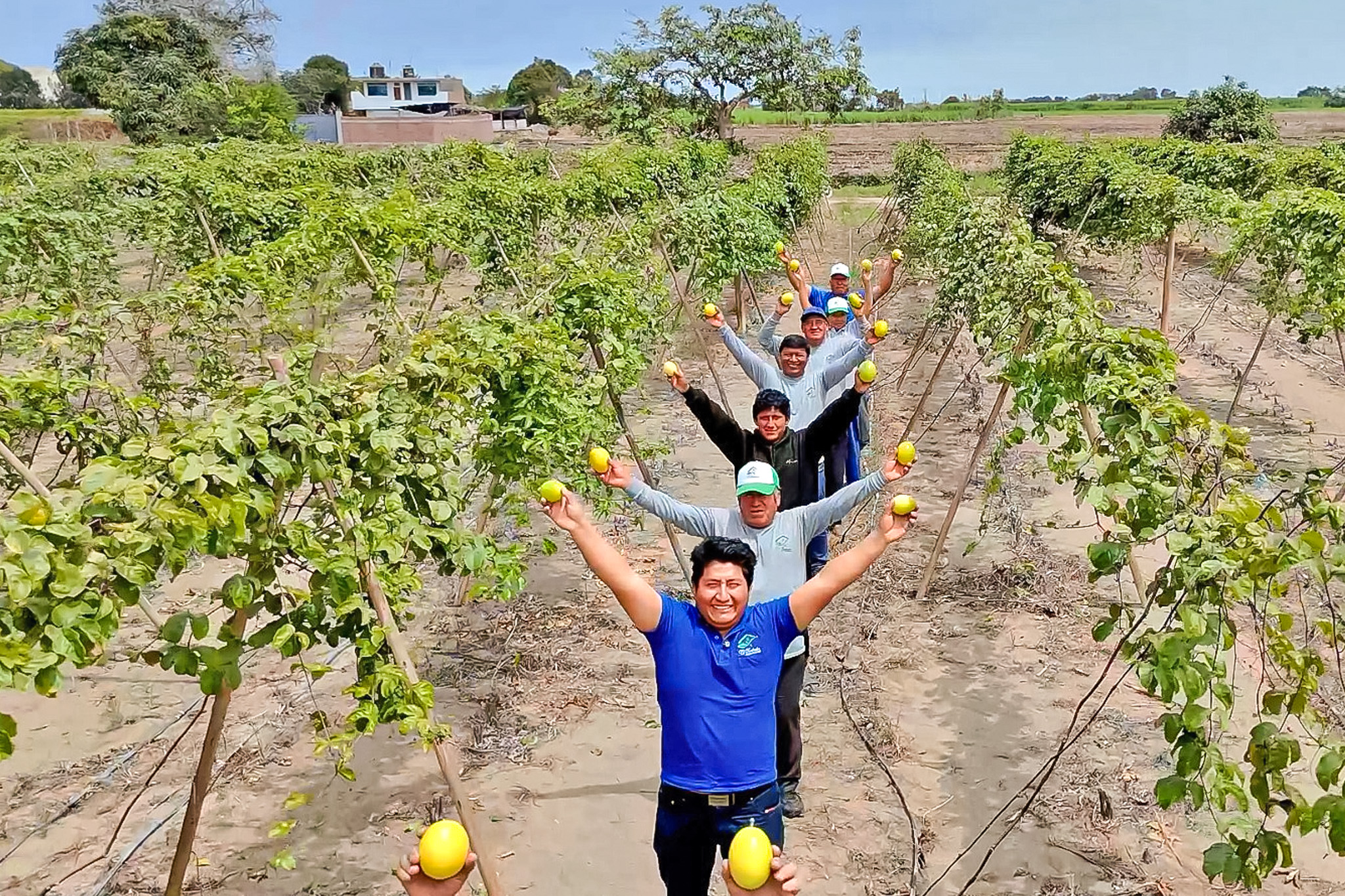 agromercado inversiones