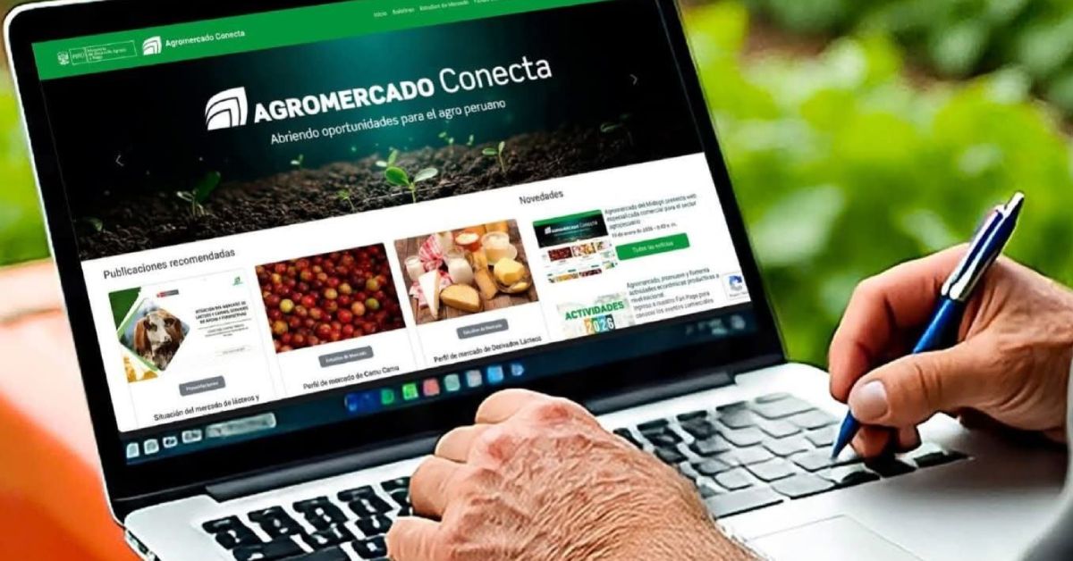 ds agroweb