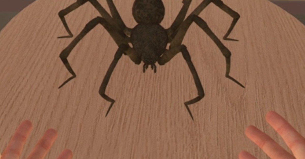 ds aracnofobia