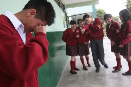 ds bullyiing