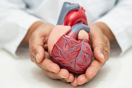 ds cardiovascular