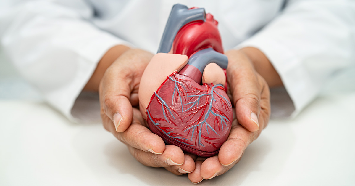 ds cardiovascular