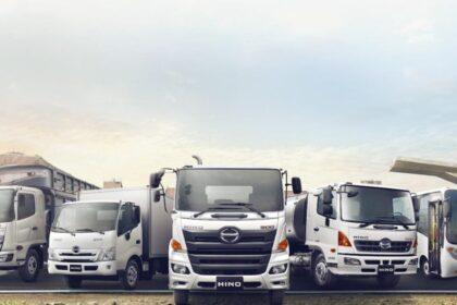 ds combustible