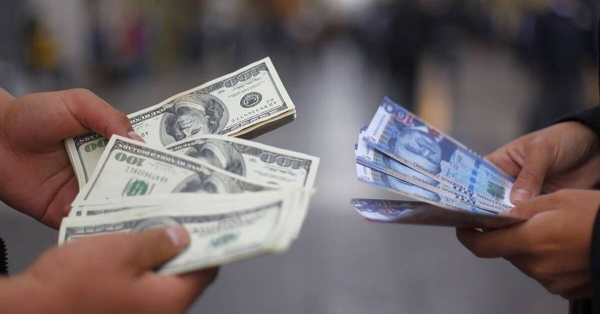 ds dolar 1