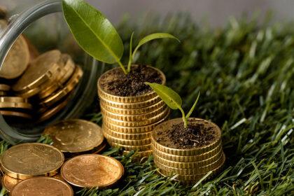 ds finanzasverdes