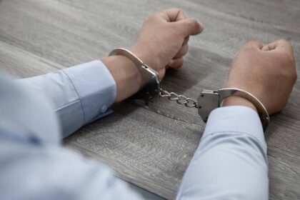 ds fraudegerente