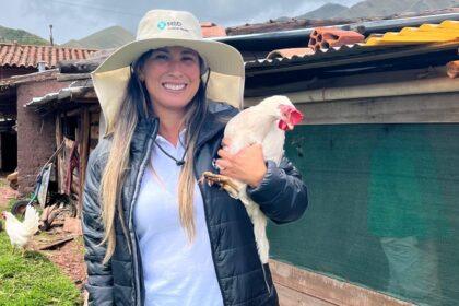 ds gallinas