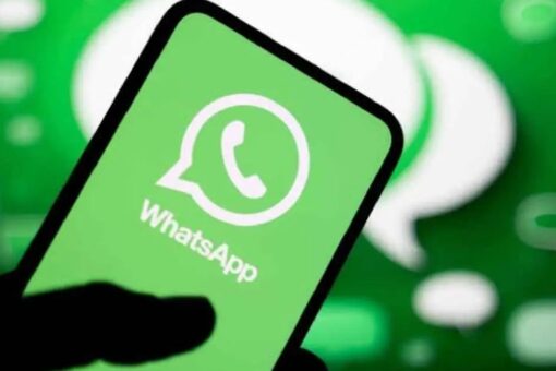 ds guiawhatsapp