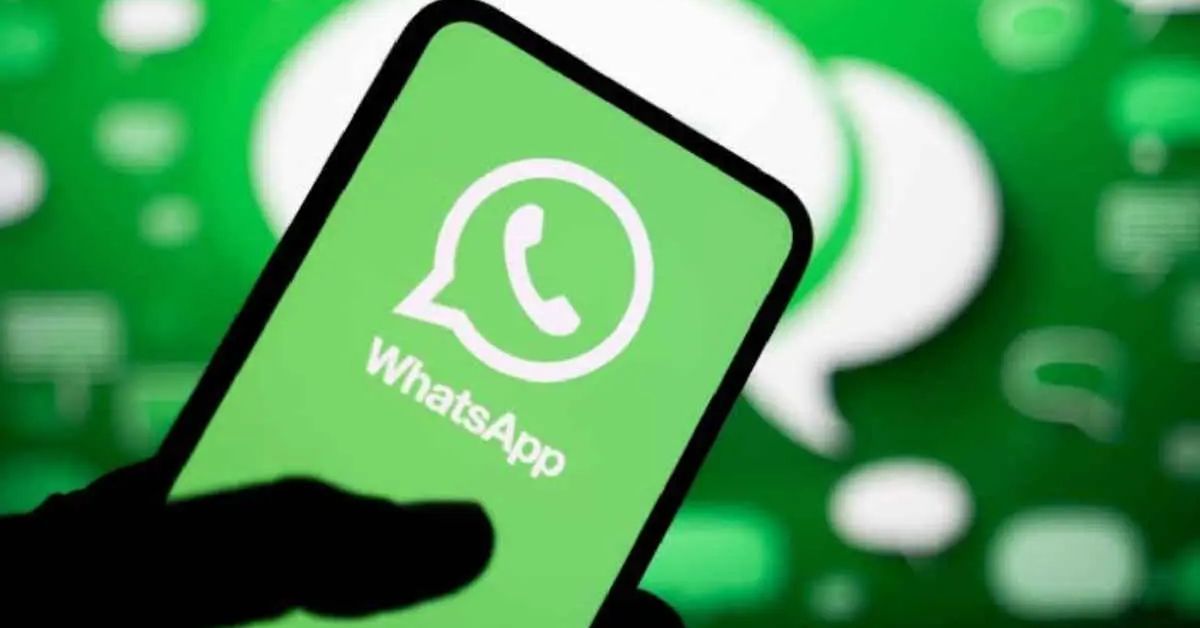 ds guiawhatsapp