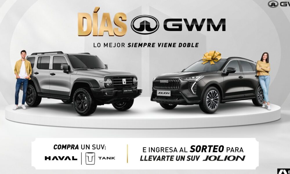 ds gwm 1