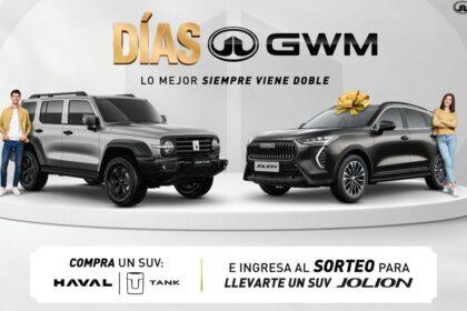 ds gwm 1