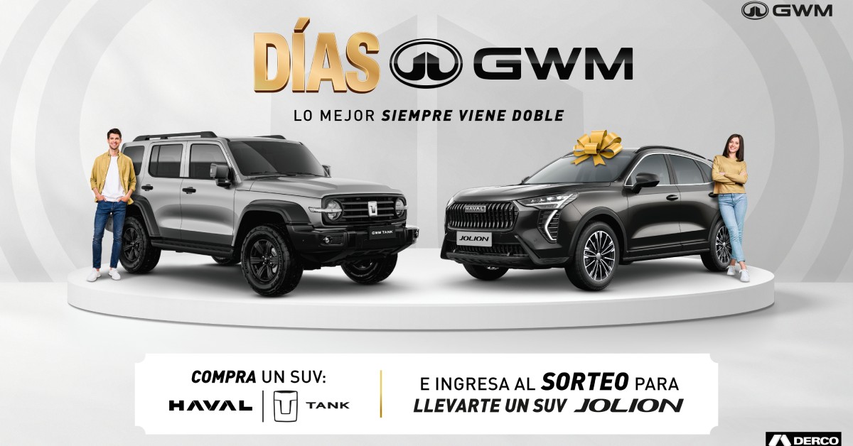 ds gwm 1