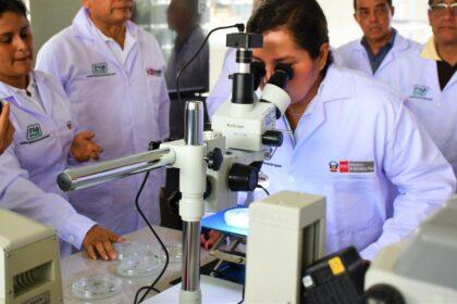 ds innovacion 1