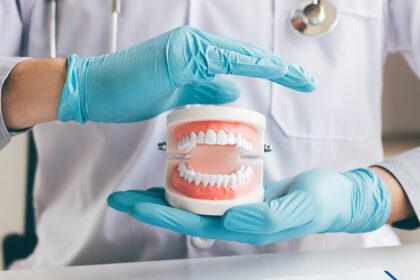ds mandibular