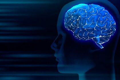 ds neurociencia