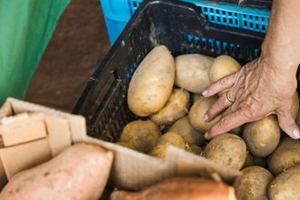 ds perdidaalimentos