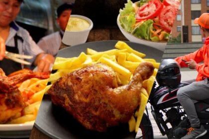 ds pollo2