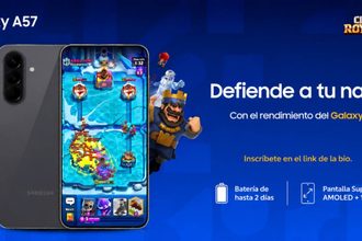 ds samsungarena