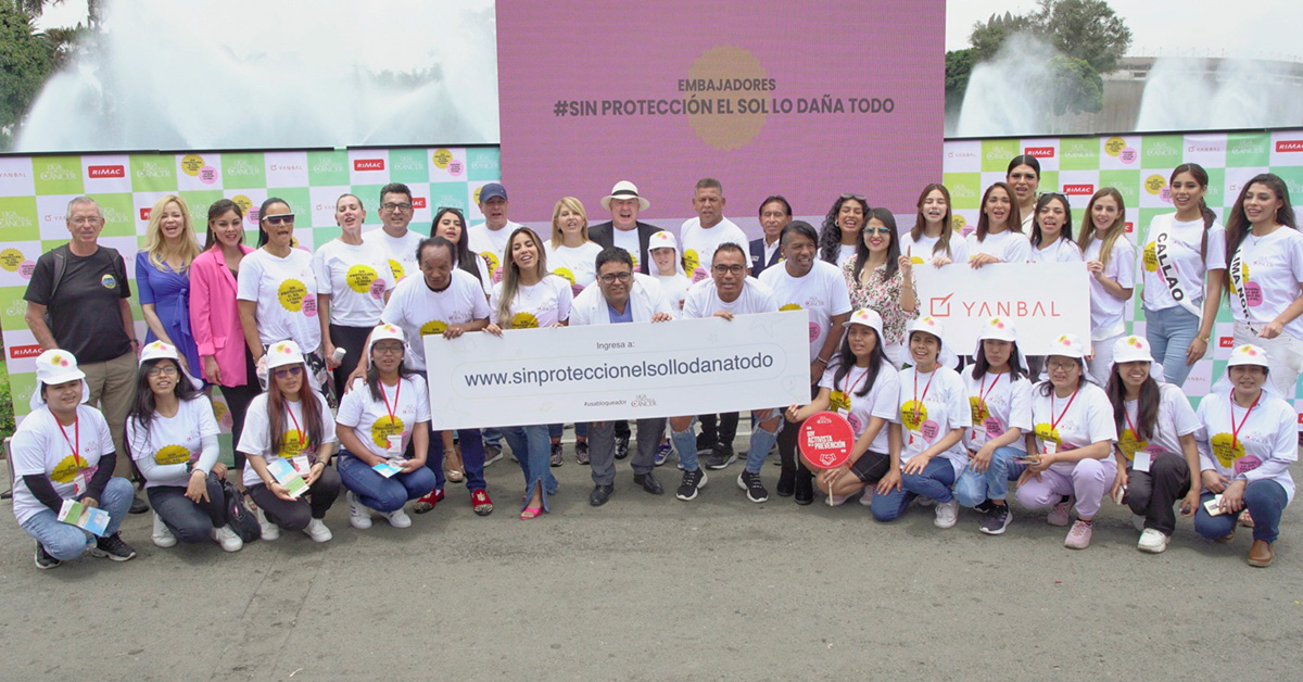 ds voluntariado