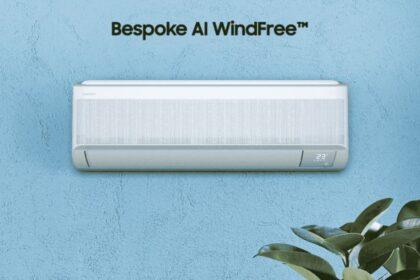 ds windfree