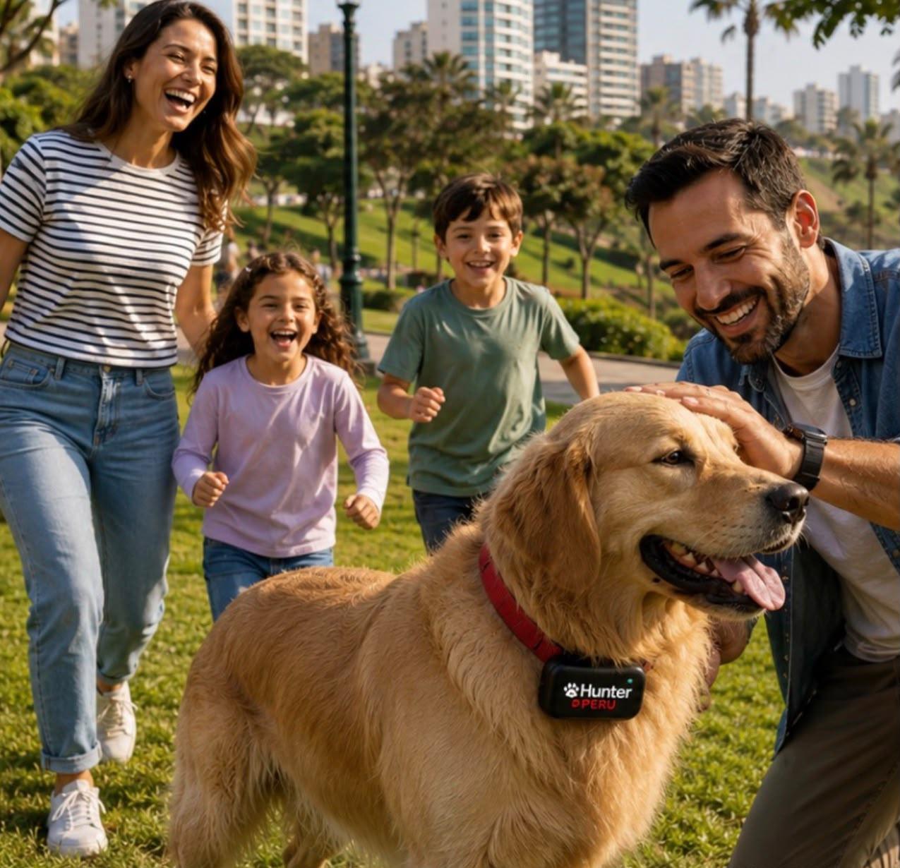 Qué hacer tras la pérdida de un perro