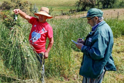 midagri campana