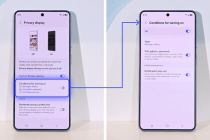 privacy display