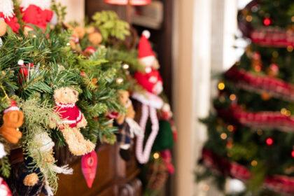zoom navidad